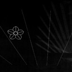 img_0270-03-web